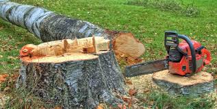Best Lot and Land Clearing  in Moraga, CA