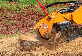 Best Tree Risk Assessment  in Moraga, CA