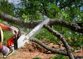 Best Weed Control  in Moraga, CA